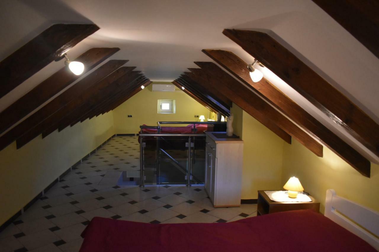 Apartments Carpe Diem ノビグラード・ダルメーシャ エクステリア 写真